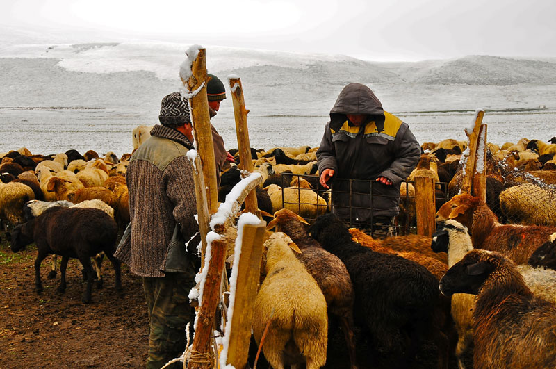 Kyrgyzstan - Asie Centrale